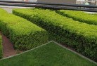 Manyungcommercial-landscaping-1.jpg; ?>